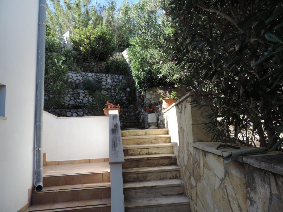 Apartmani Lavanda Pag Town Buitenkant foto